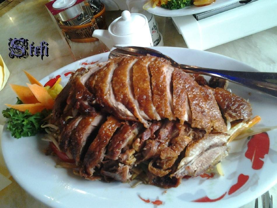 Yang Tse Inh. Xiaoxu Zheng