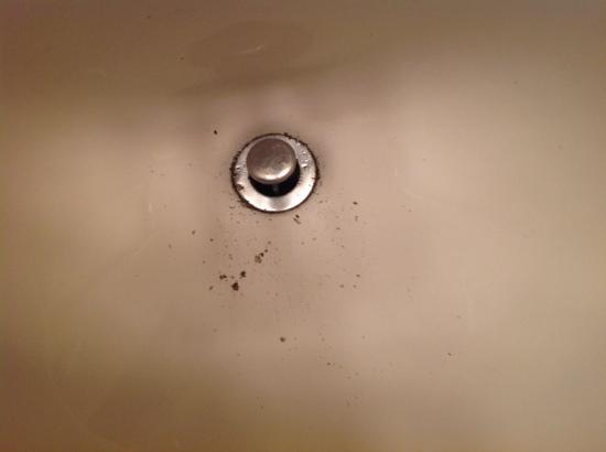 Photo by major_league