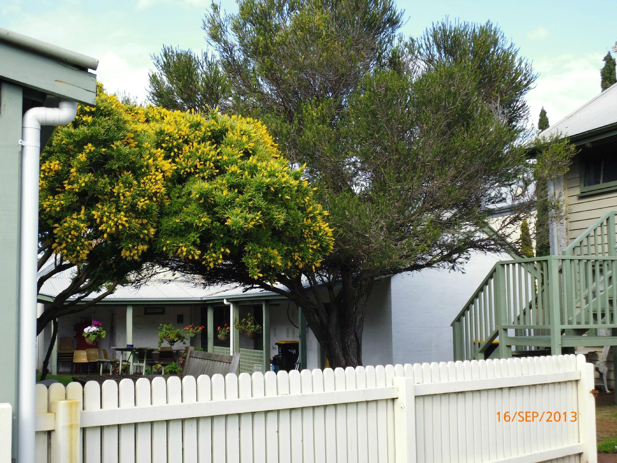 Port Fairy Hostel