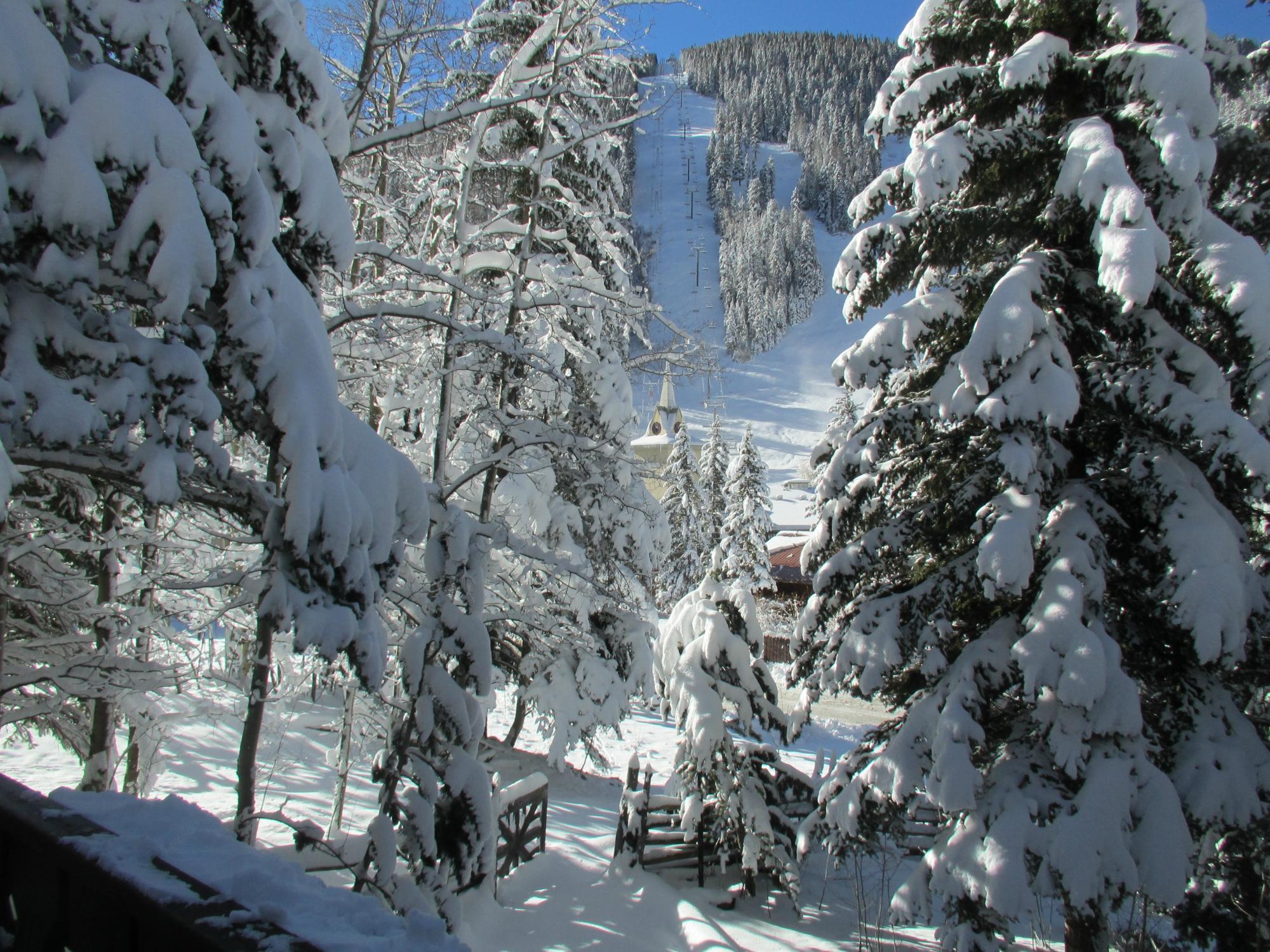 Brownell Chalet