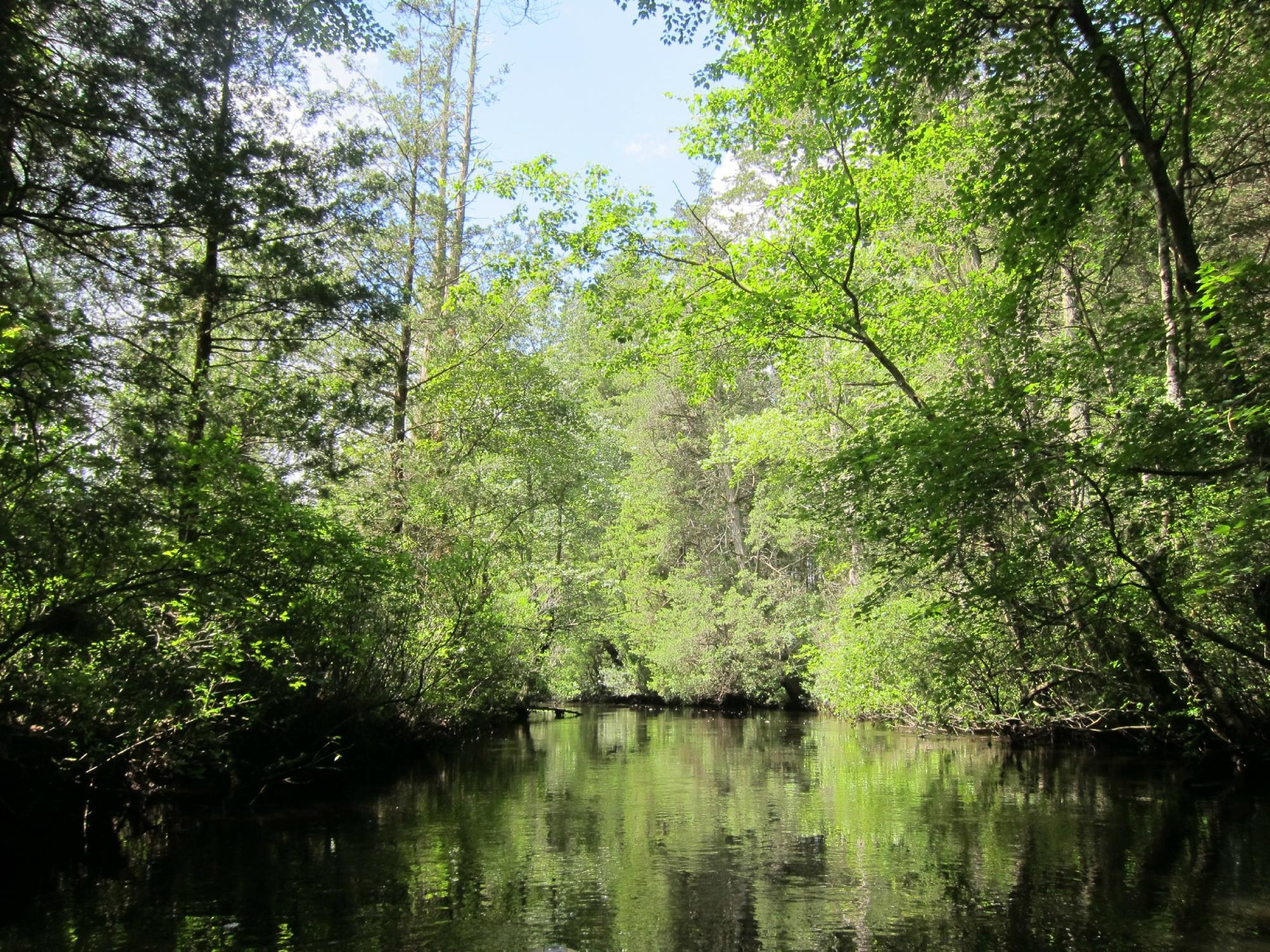 Photo by GreenUnicorn