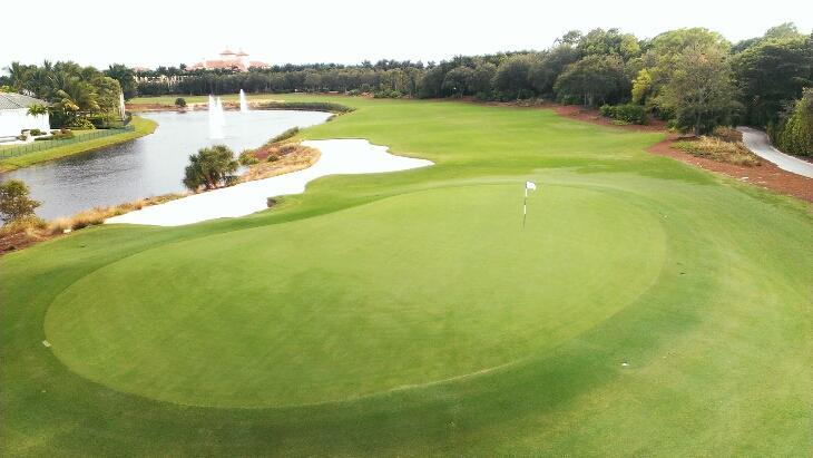 Tiburon Golf Club