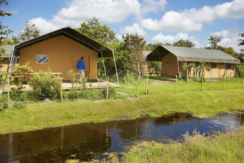 FarmCamps Fleur Stables