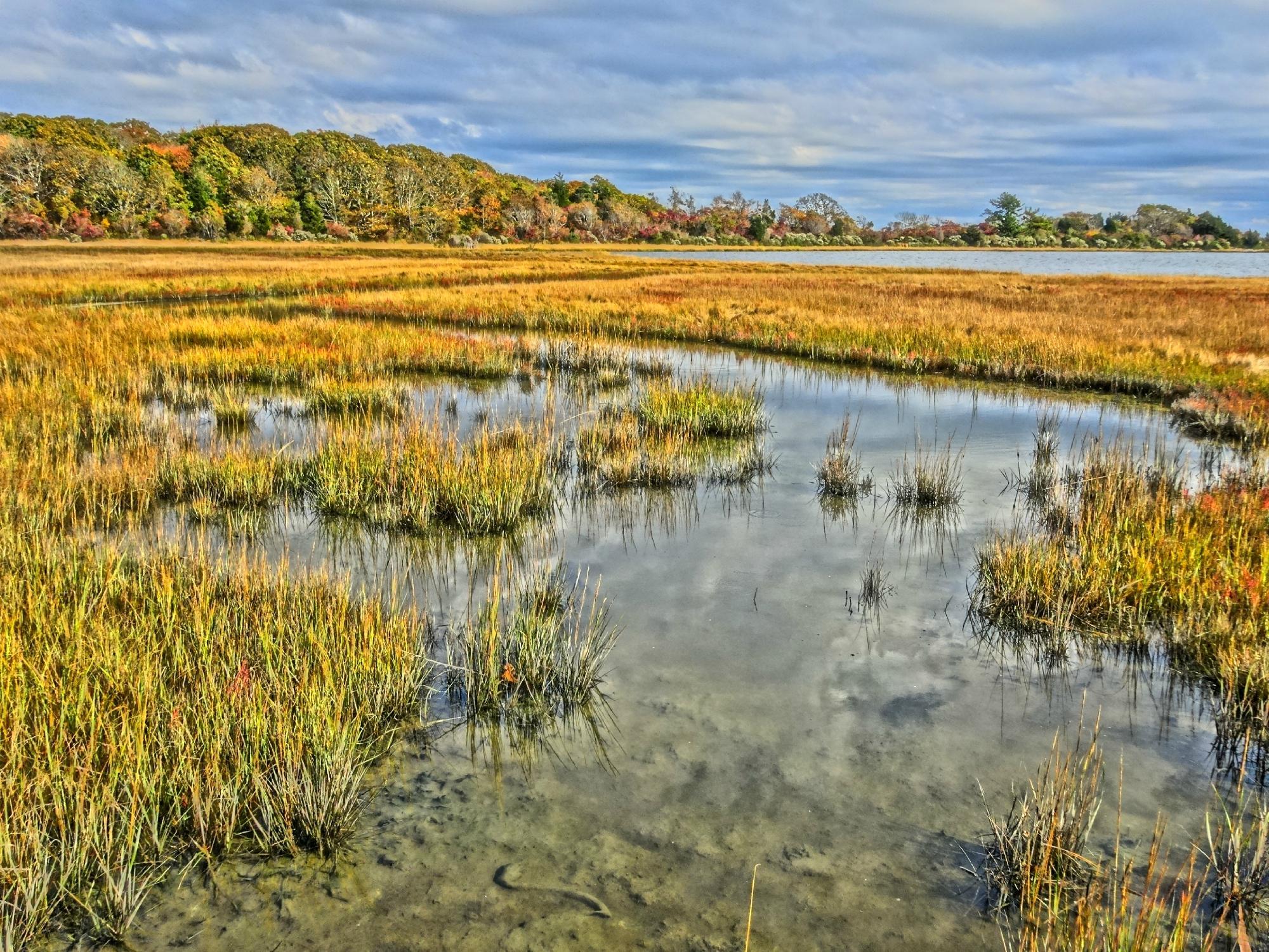 Allens Pond Wildlife Sanctuary