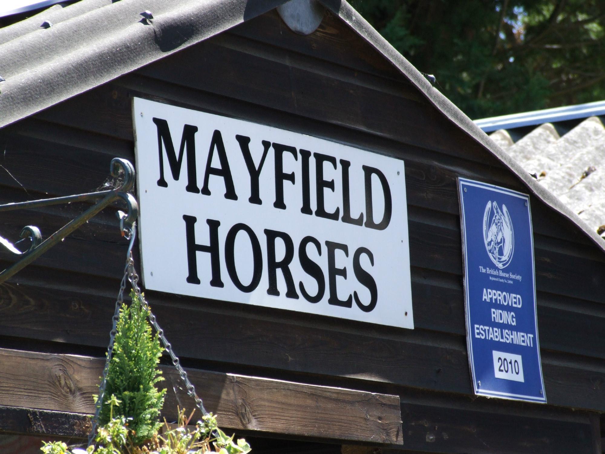 Mayfield Horse Riding Stables