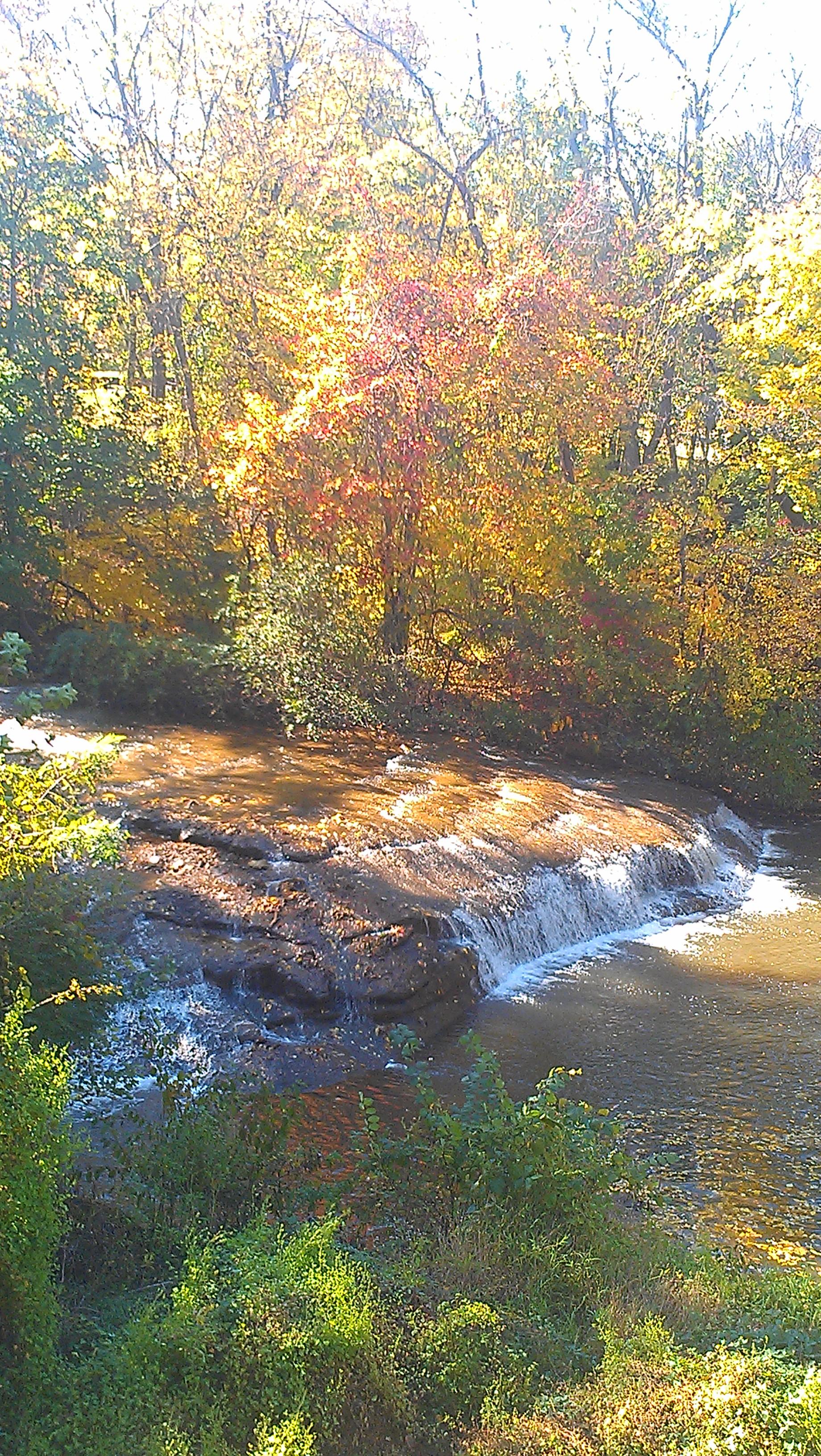 MJ's Restaurant, Bar & Grill
