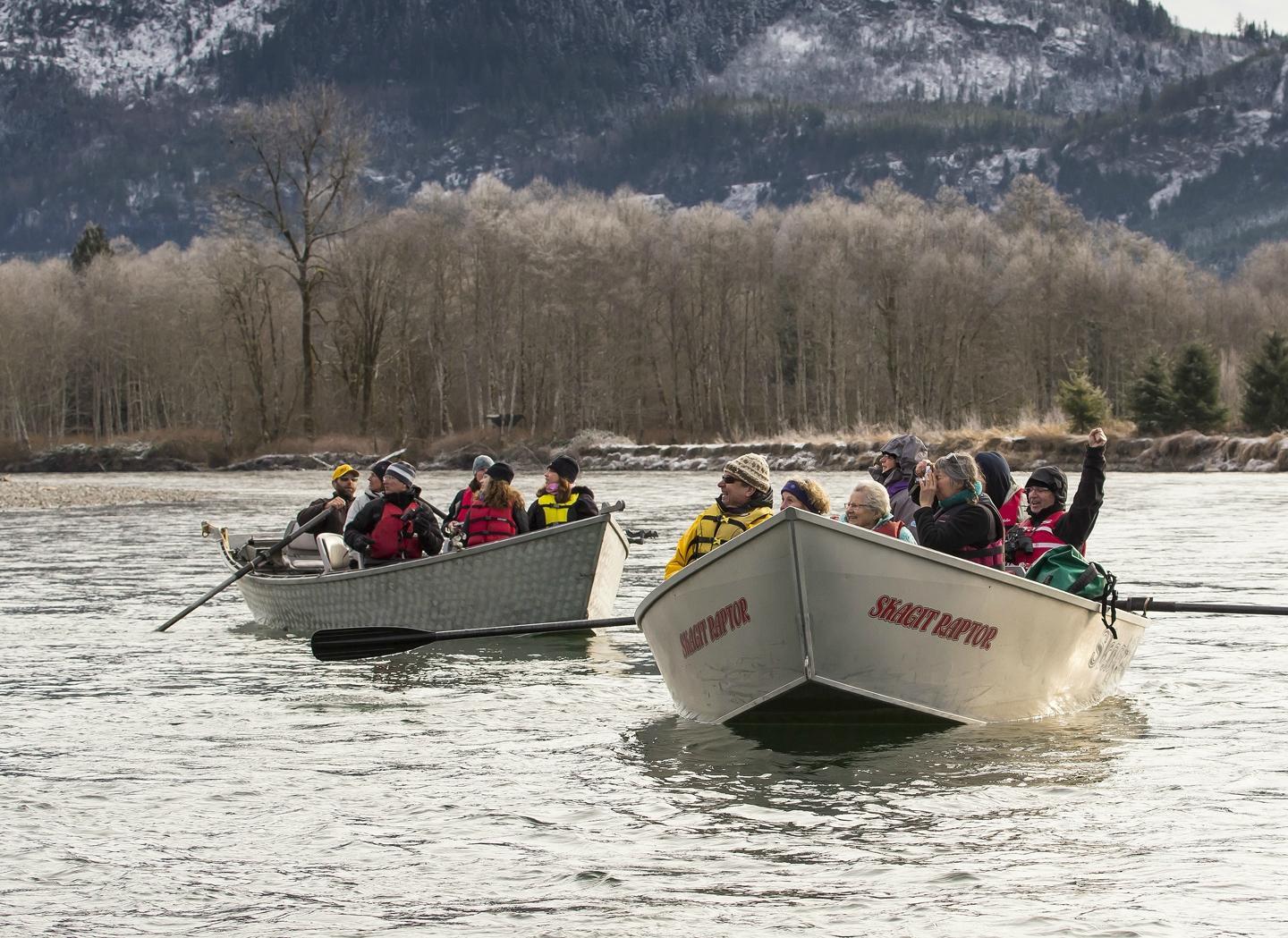 Skagit River Eagle Tours