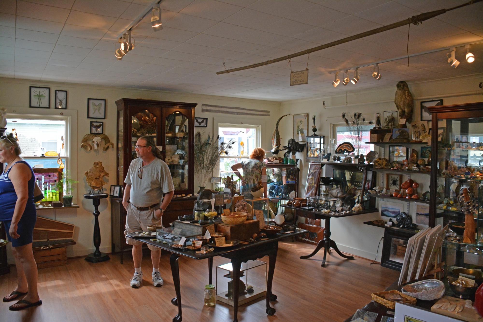 The Rock And Art Shop