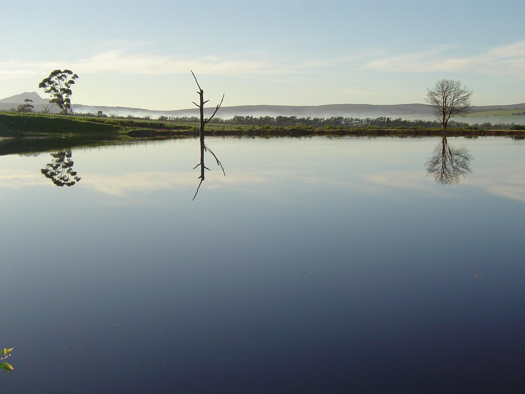 Sir Robert Stanford Wines