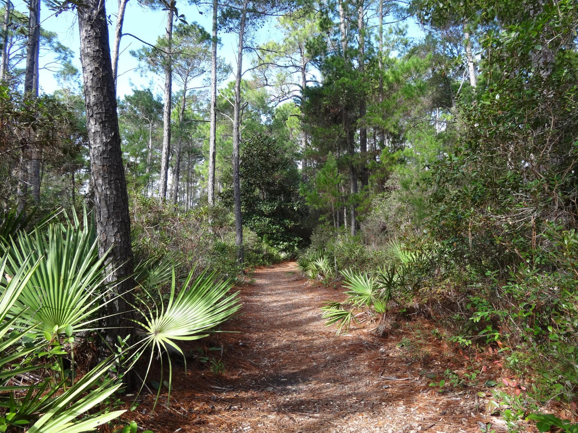 Oak Tree Nature Park