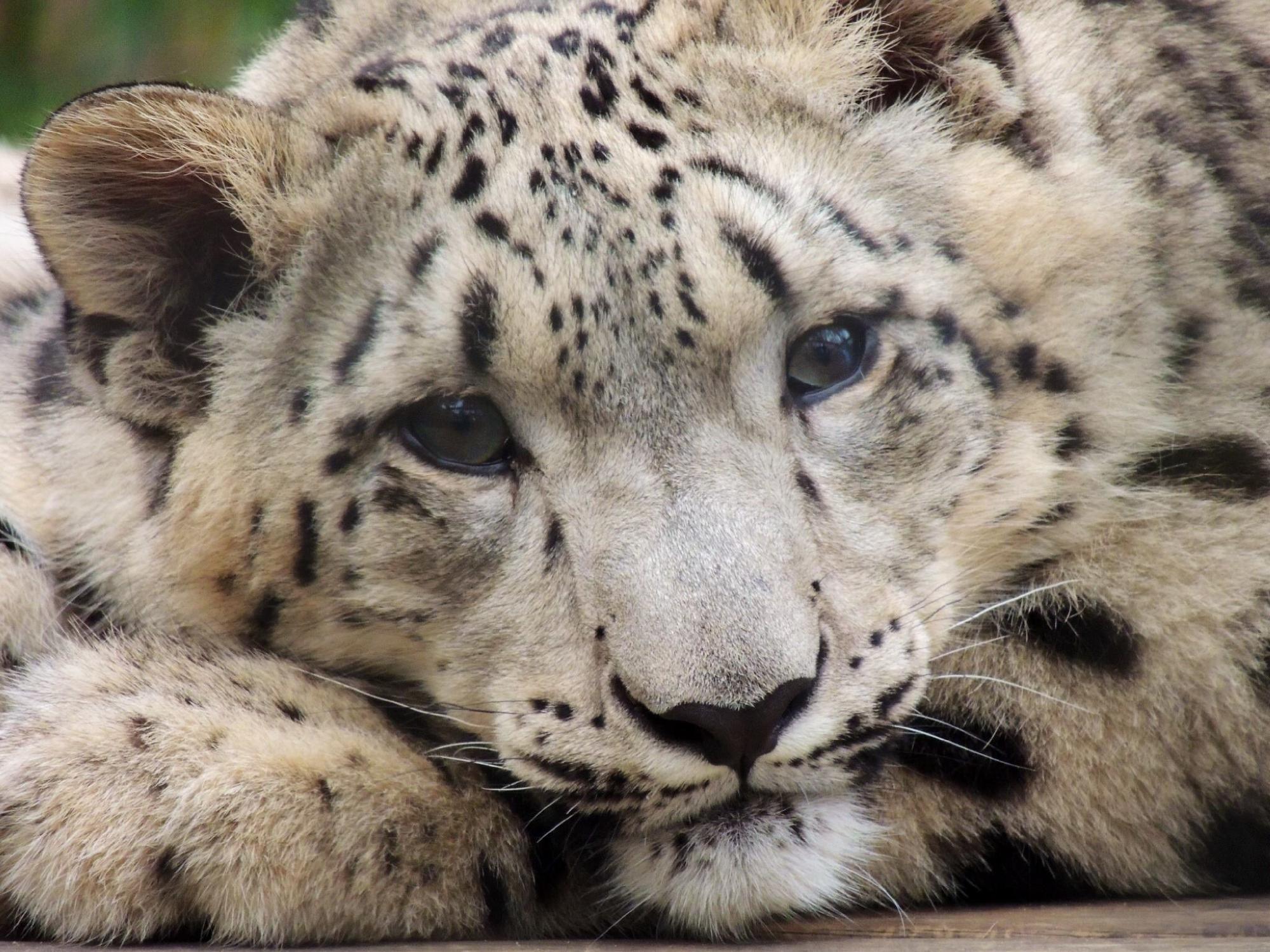 Cape May County Park & Zoo