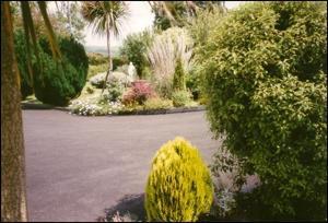 Decies Bed & Breakfast