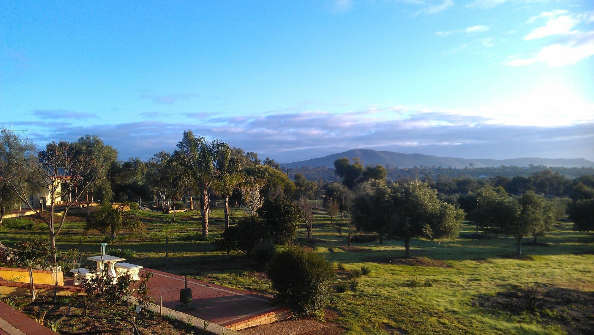 The Olive Branch York