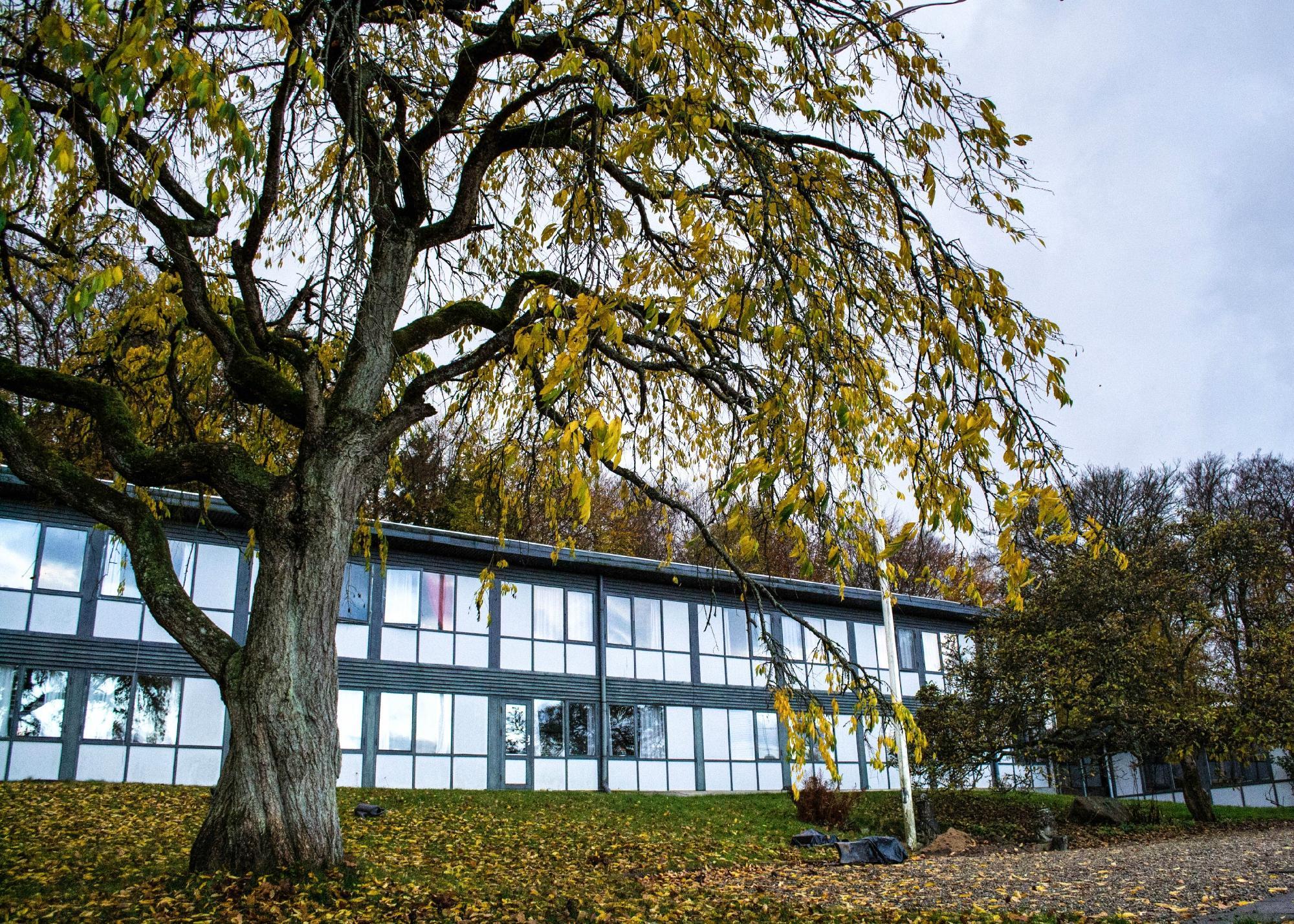 Hellebaek Bed & Breakfast