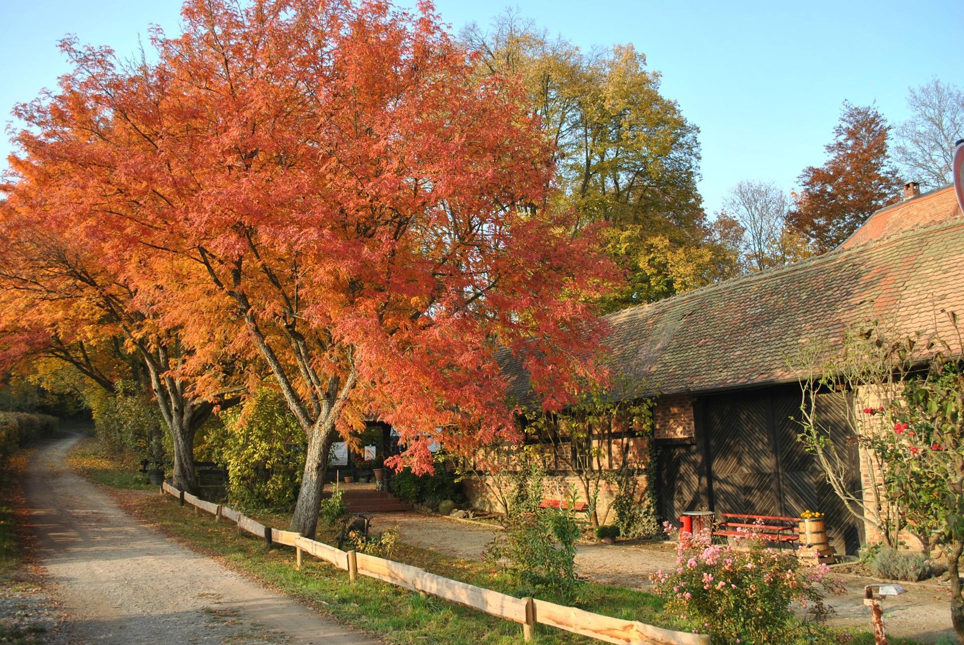 Landgasthof Rote Mühle