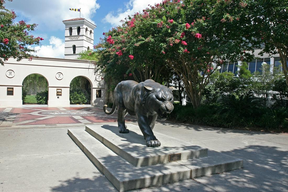 Mike the Tiger's Habitat