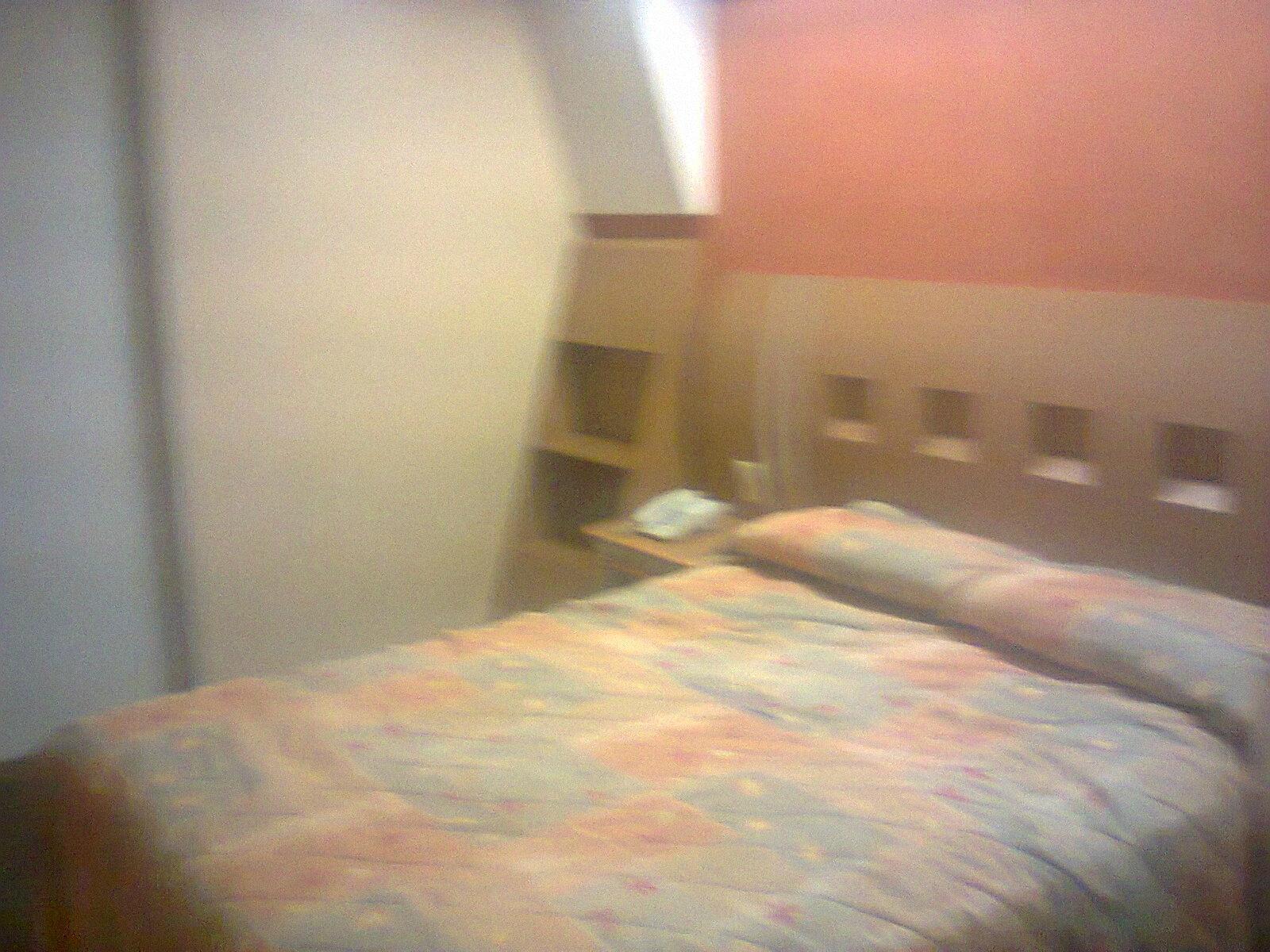 Hotel Terminal Puebla