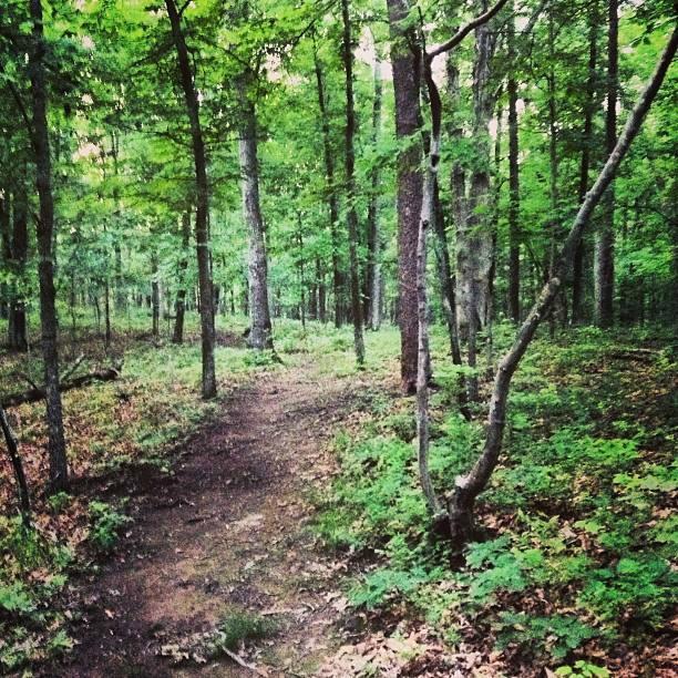Red Rock Wilderness Overlook Regional Park
