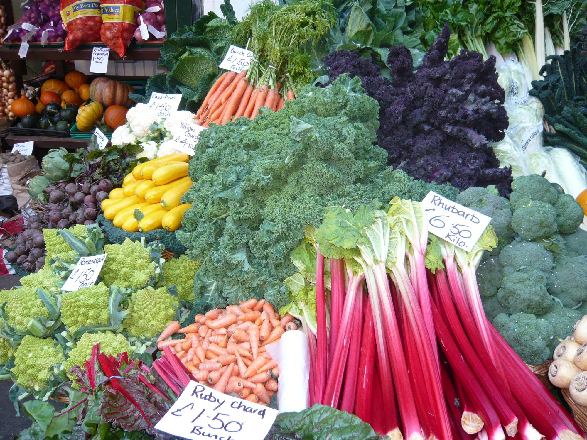 Celia Brooks Gastrotours