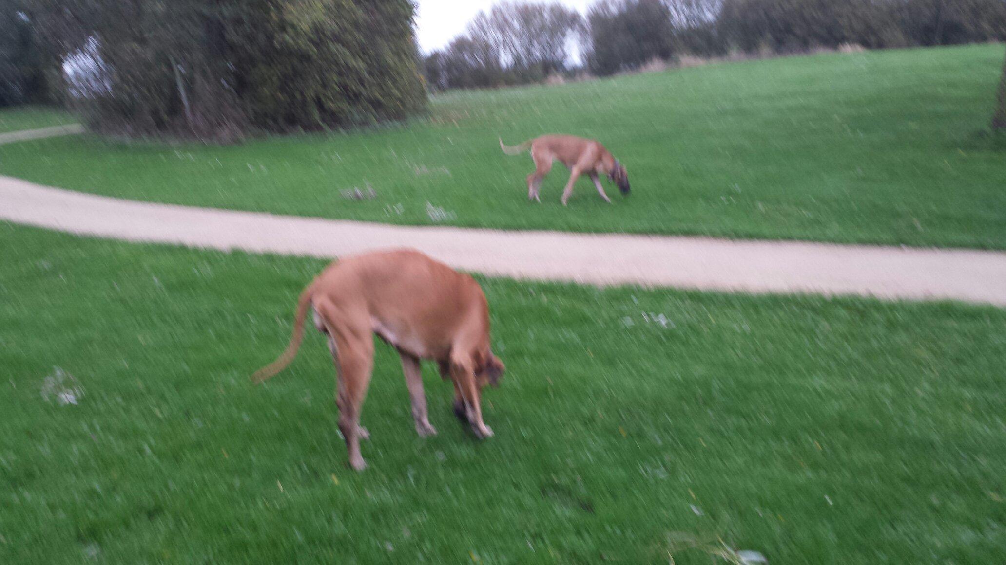 Recreatiecentrum De Otter