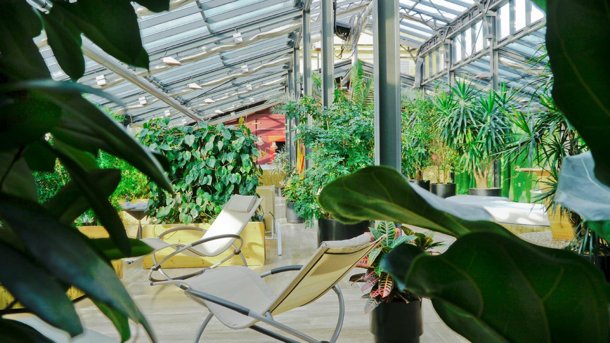 Szechenyi Palmahaz (Szechenyi Palm House)