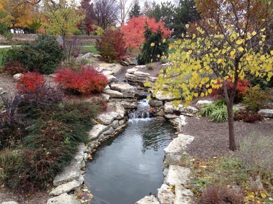 Photo by MsGrasslands