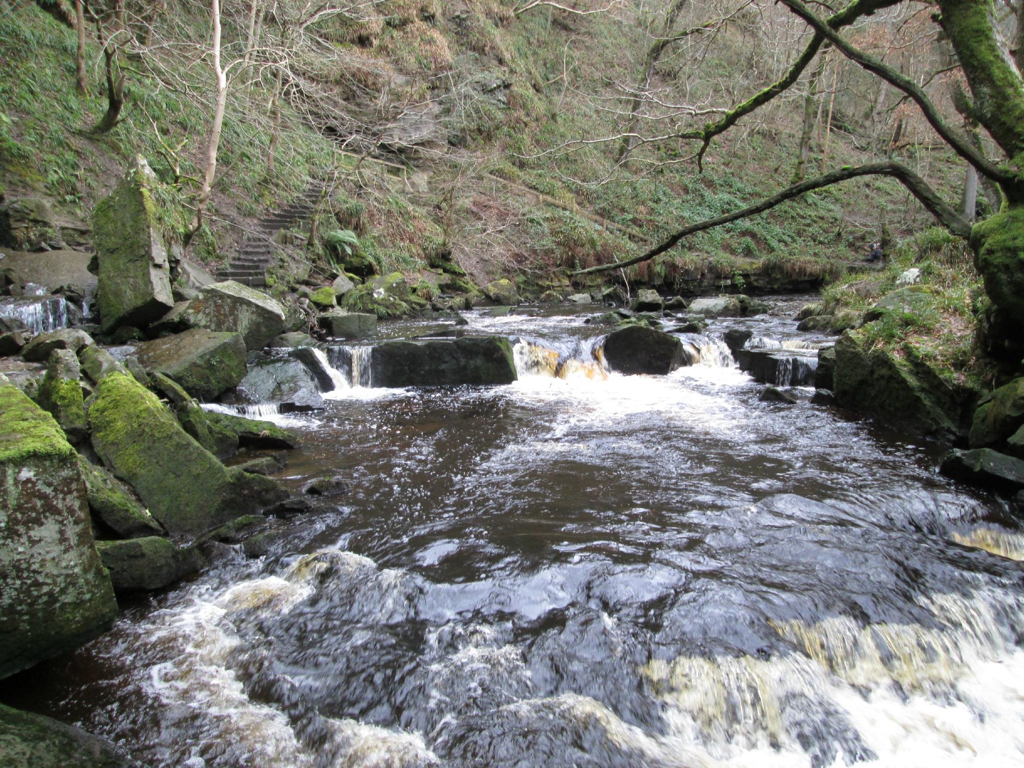 Mallyan Spout