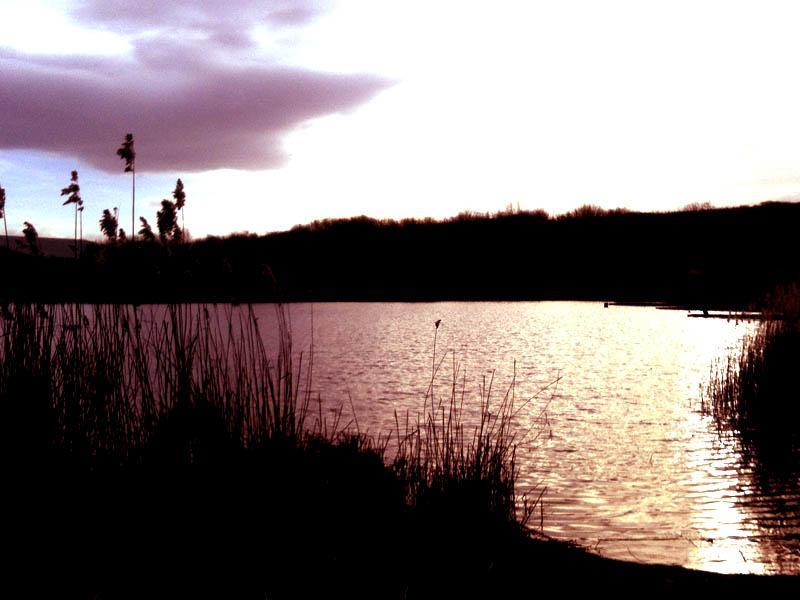 Bidston Moss - The Zone