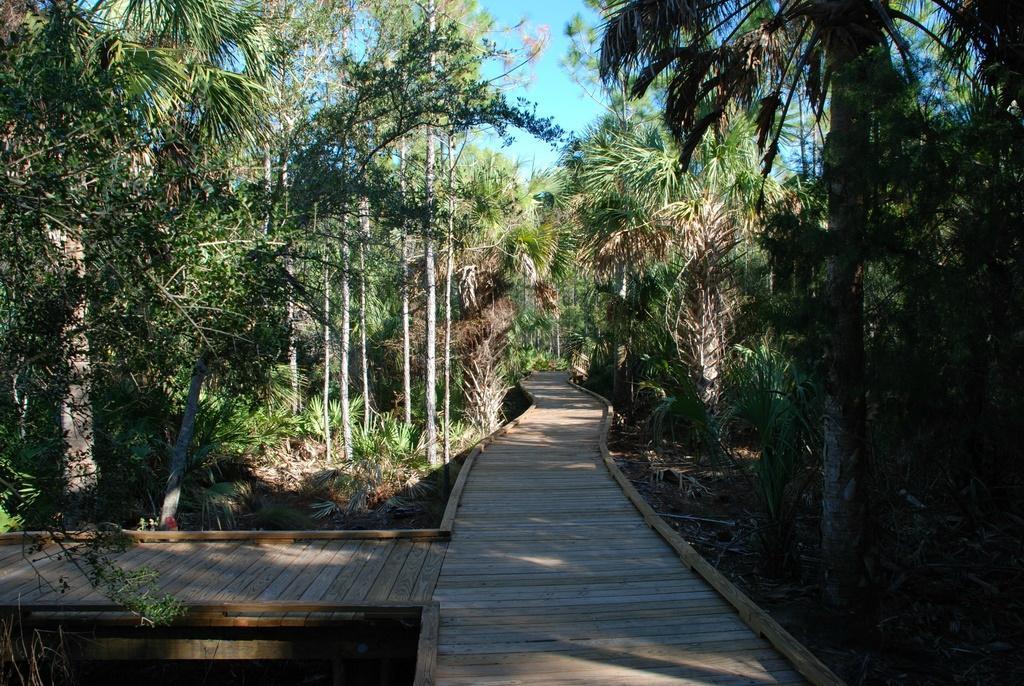 Withlacoochee Gulf Preserve
