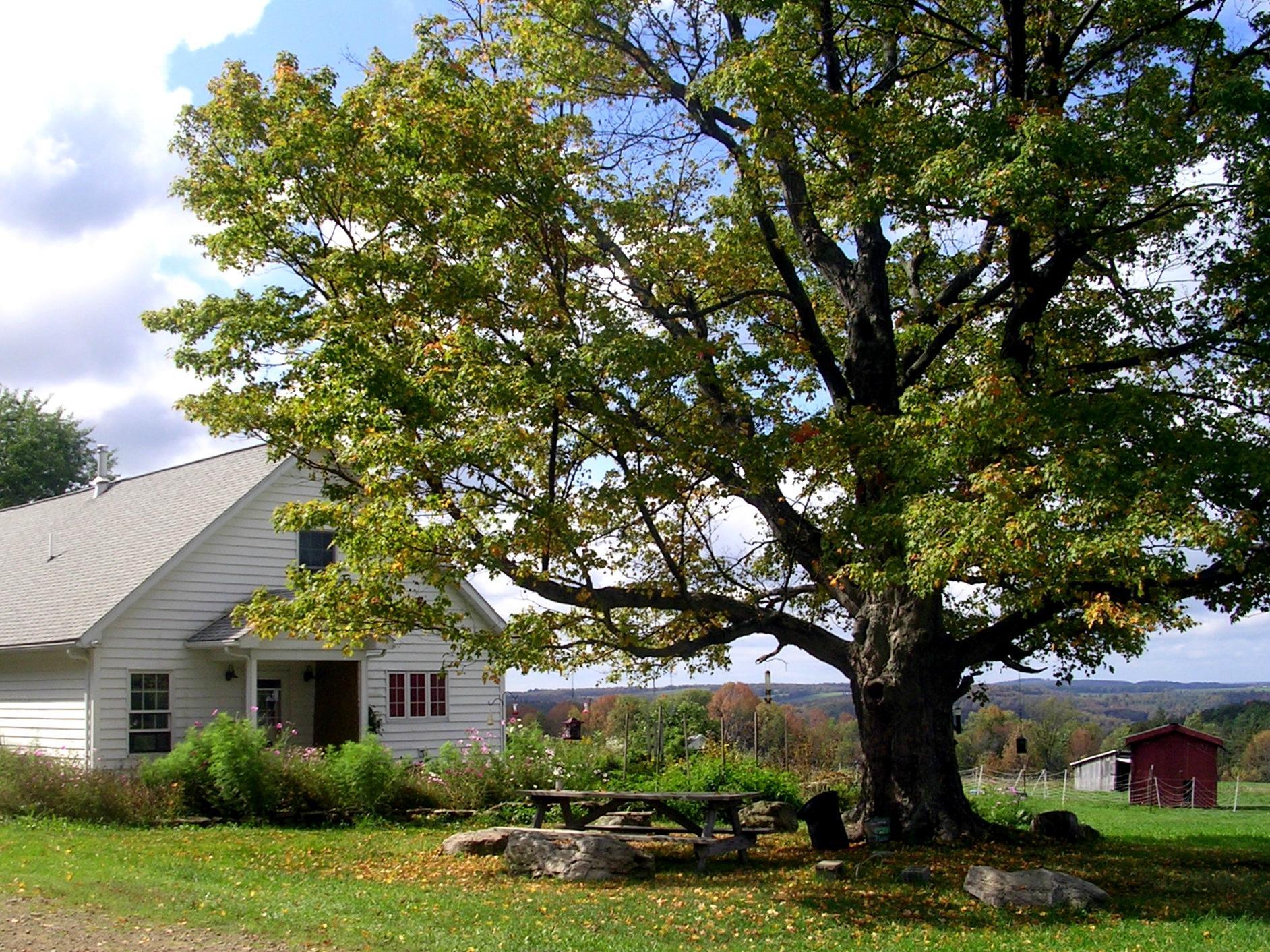 Greenwood Hill Farm