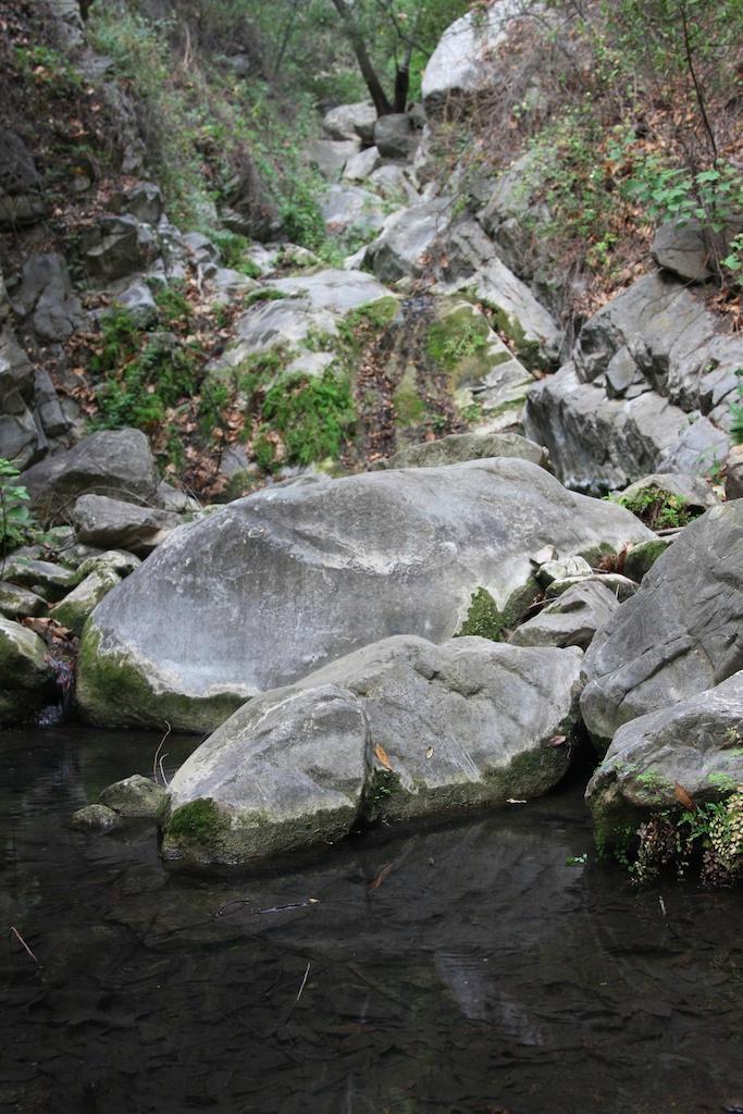 Santa Barbara Day Hike Company - Private Tours