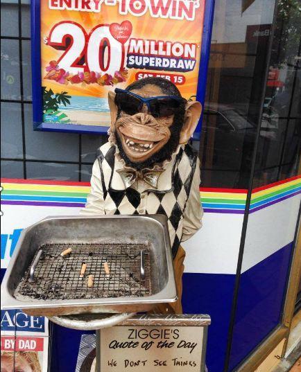 Photo by 339DavidM339