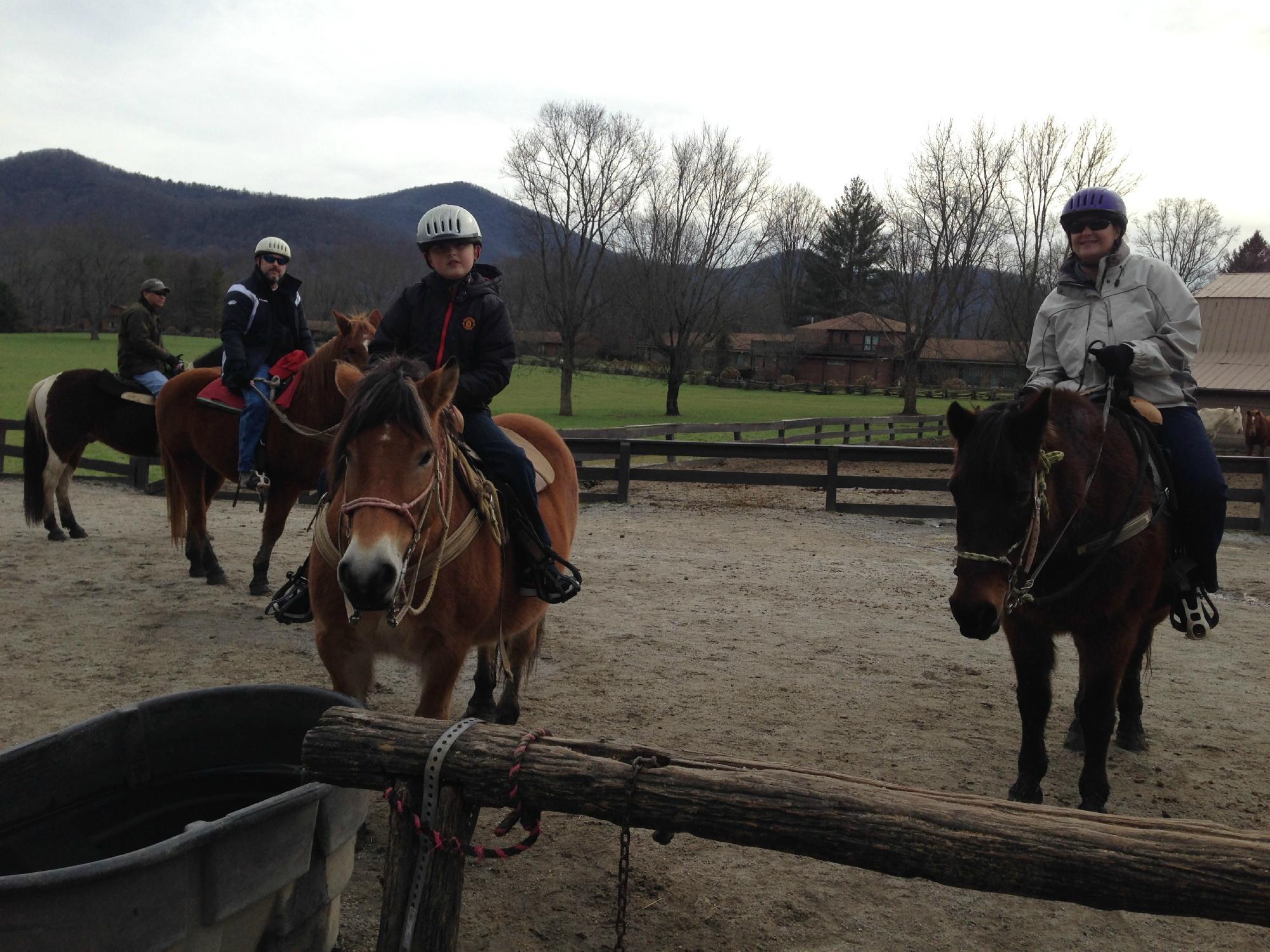 Dillard House Stables