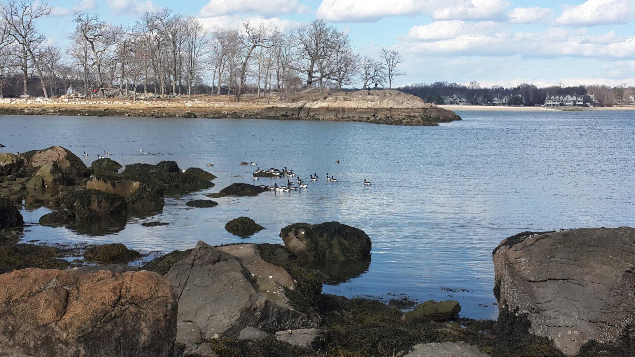 Cove Island Park