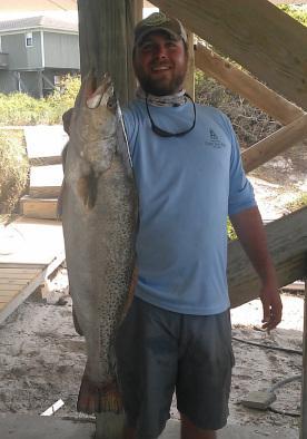 Inshore Charters - Tours