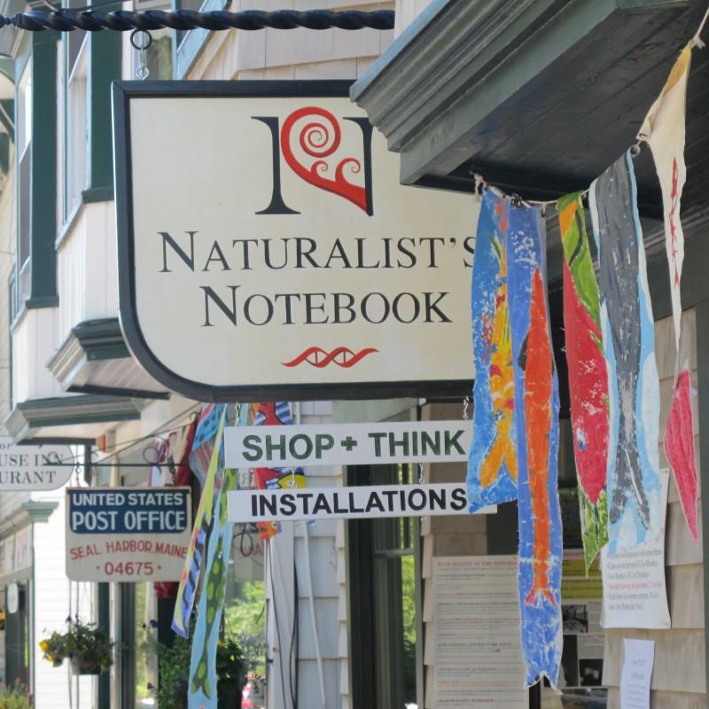 Naturalist's Notebook