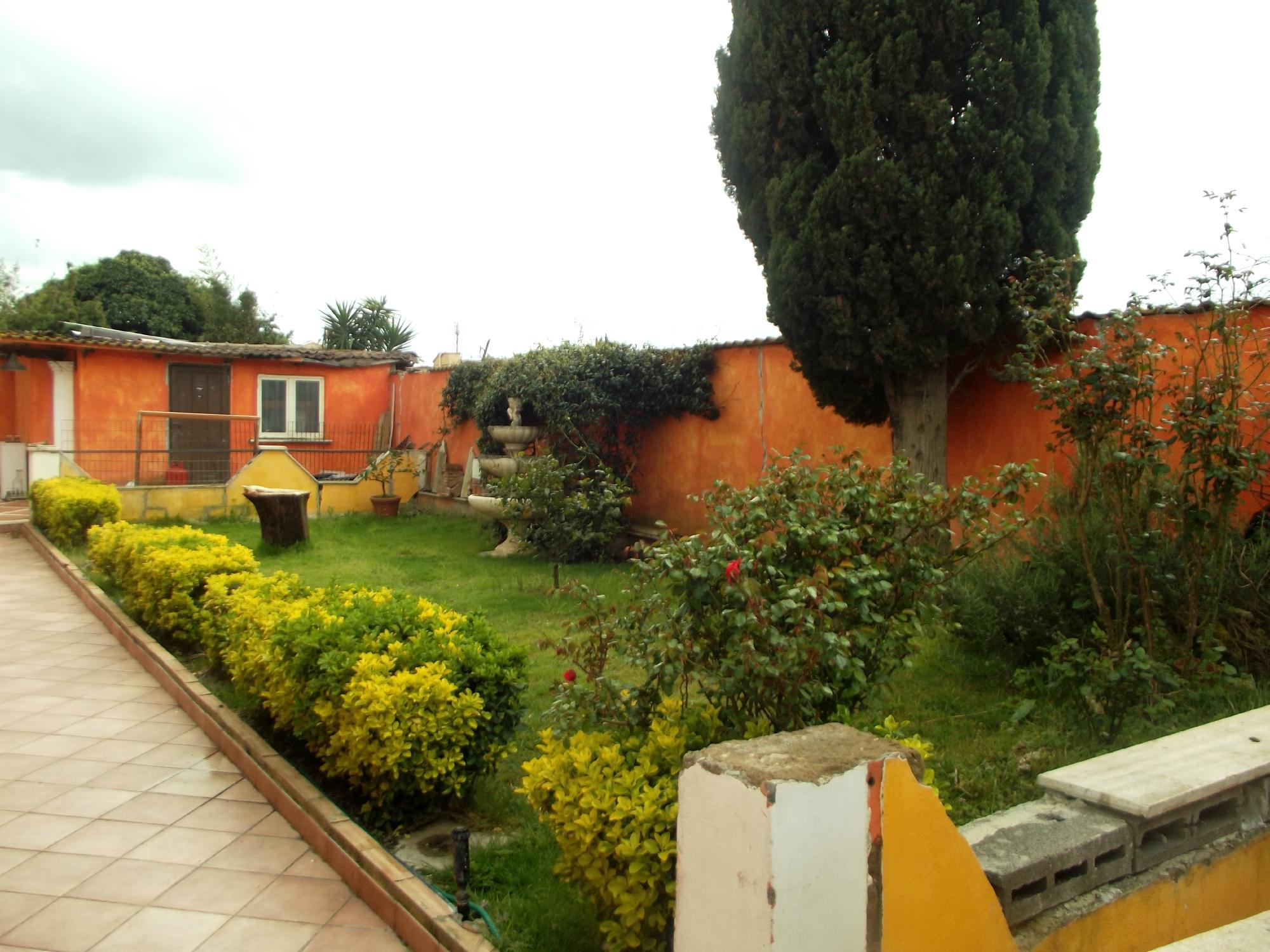 L' Oasi di Ostia Antica