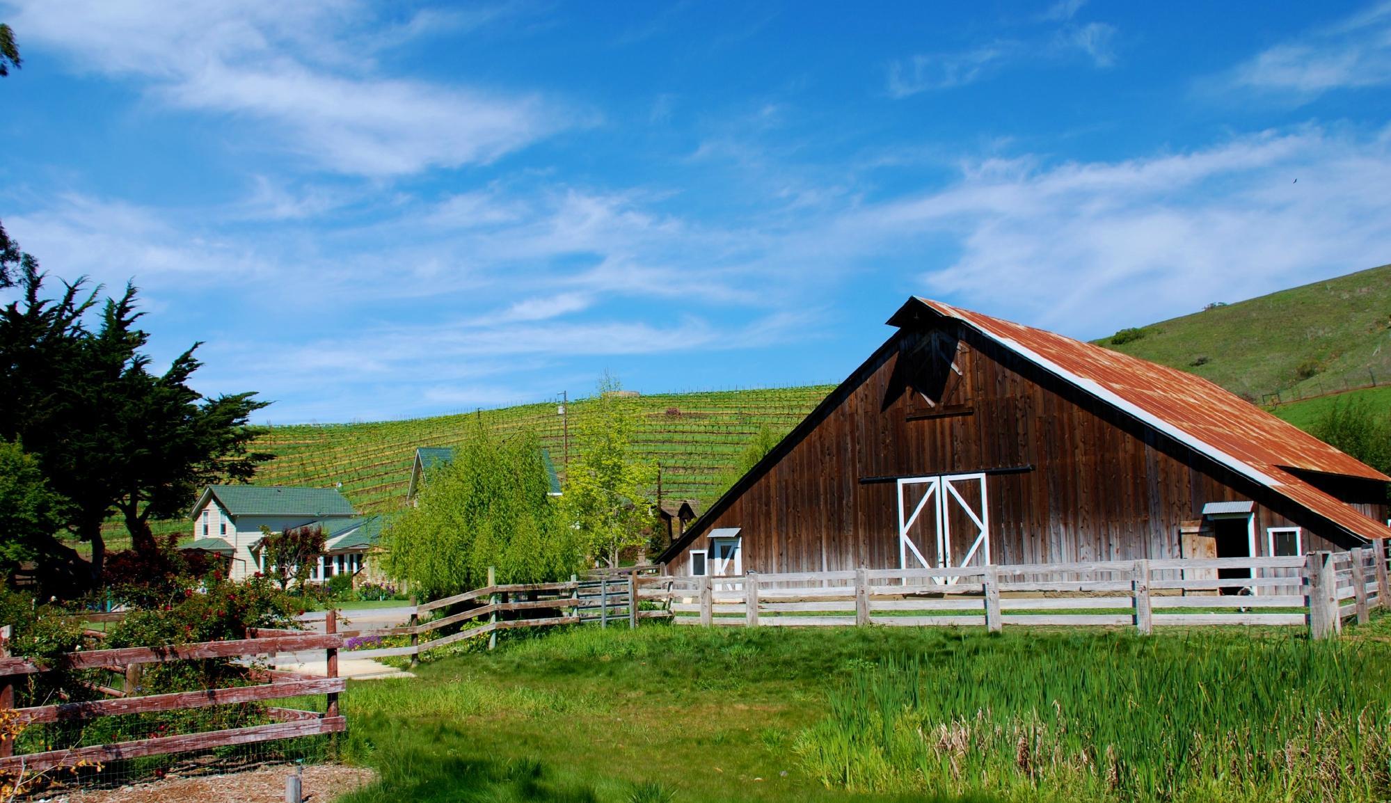 Stolo Vineyards & Winery