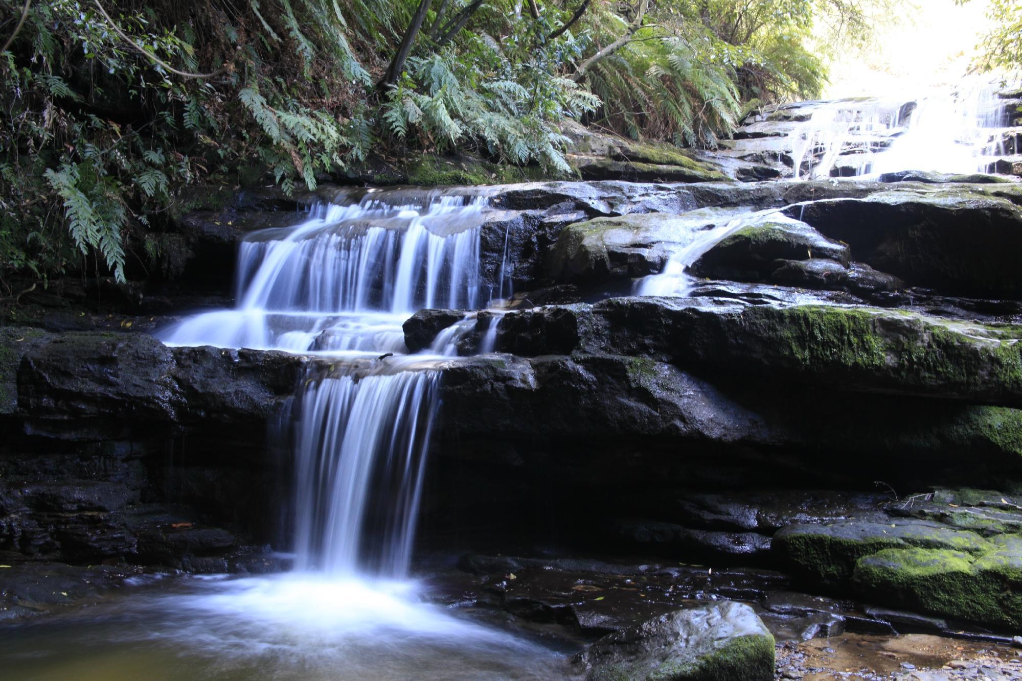 Blue Mountains Guides