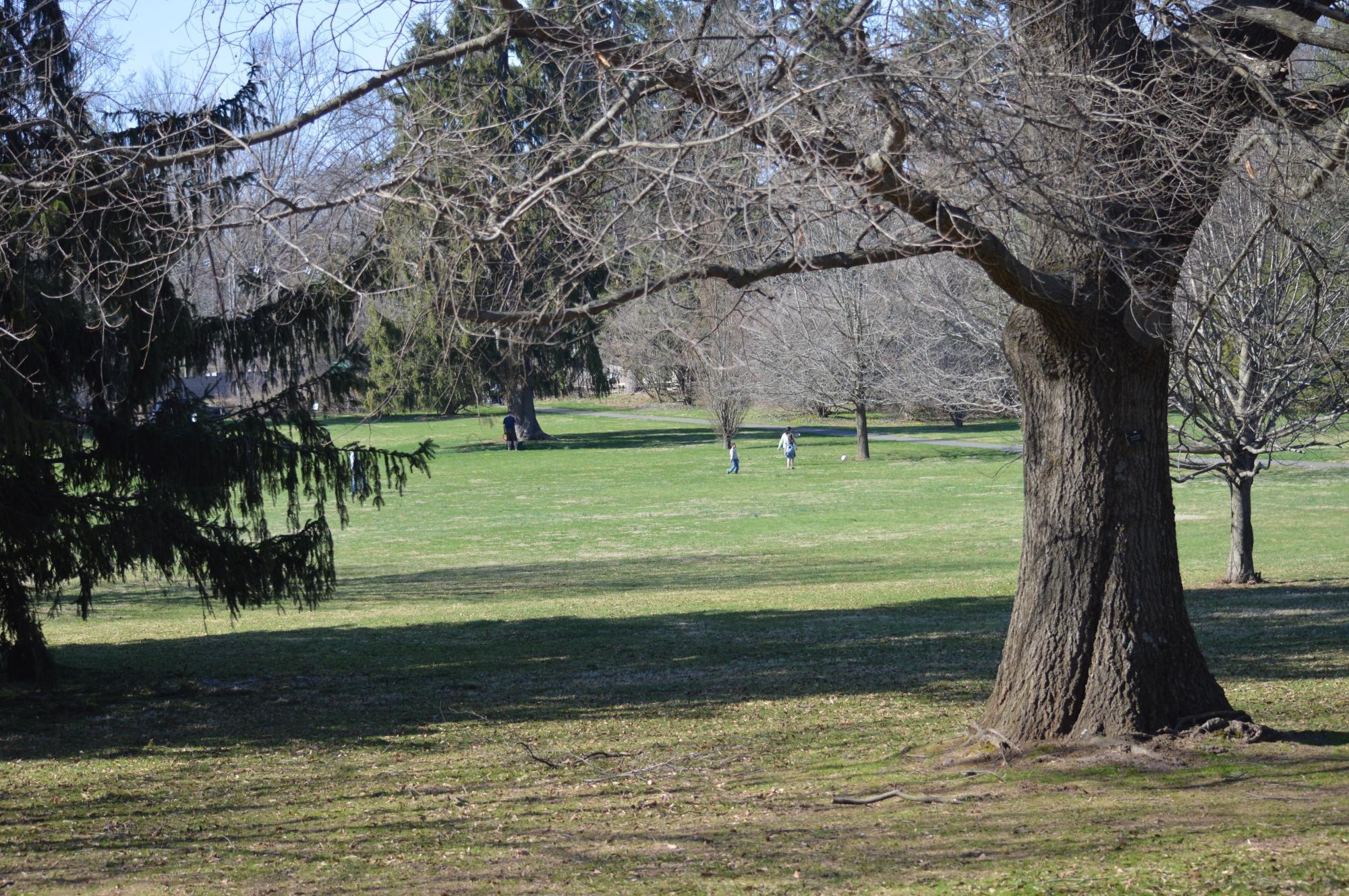 Photo by ChrisDCarlson