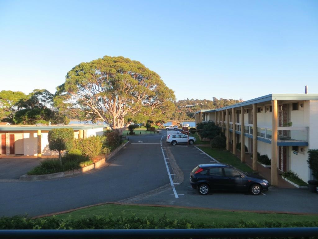 Black Dolphin Resort Motel