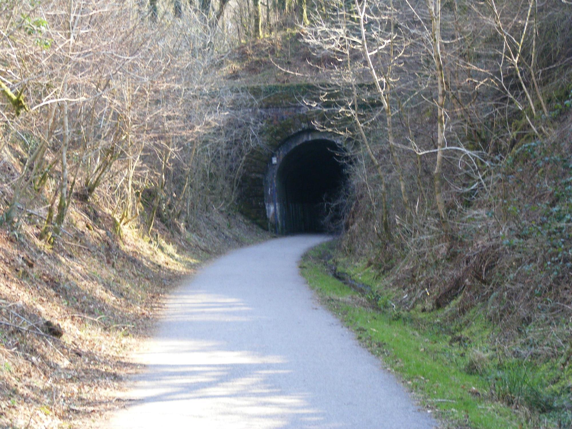 Plym Valley Cycle Trail
