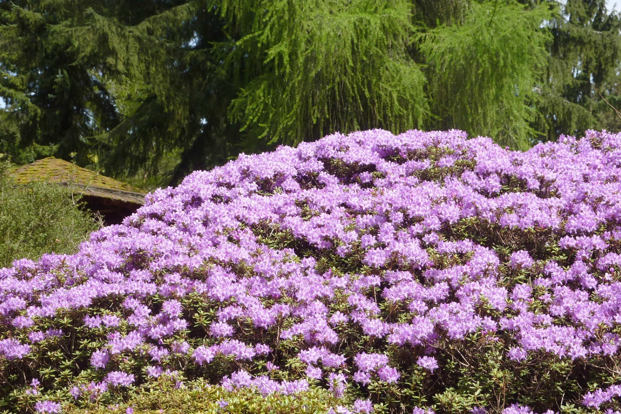 Photo by Cali4niahiker