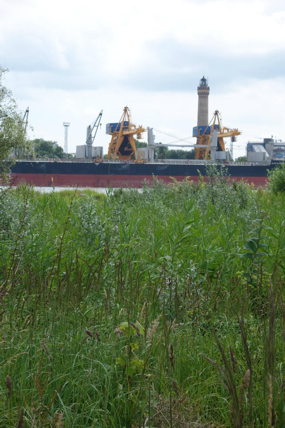 Lighthouse Swinoujscie