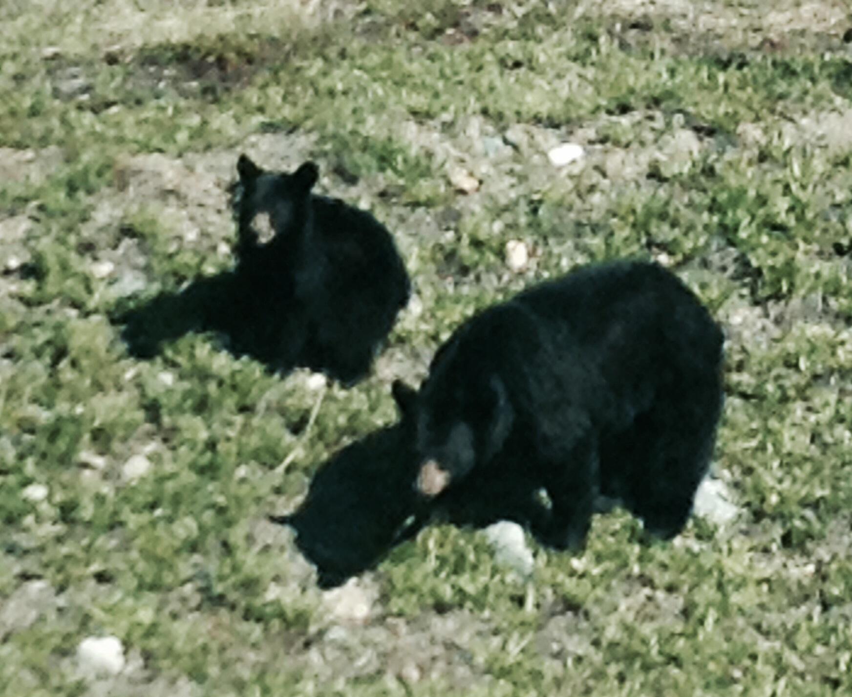 Skagway Private Tours