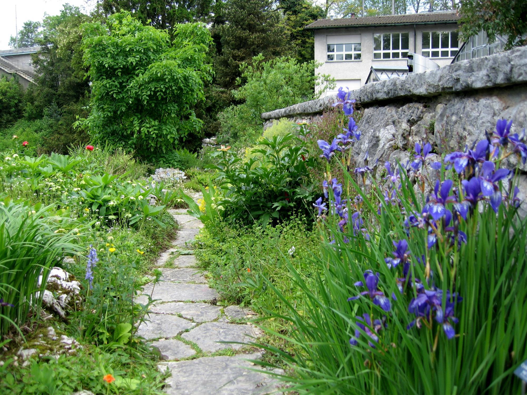 Botanical Garden (Botanischer Garten)