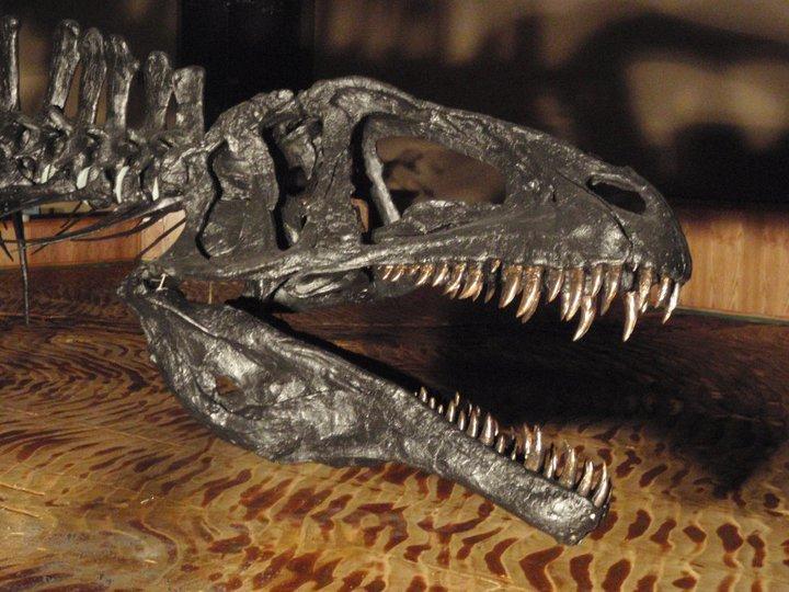 Tumbler Ridge Museum