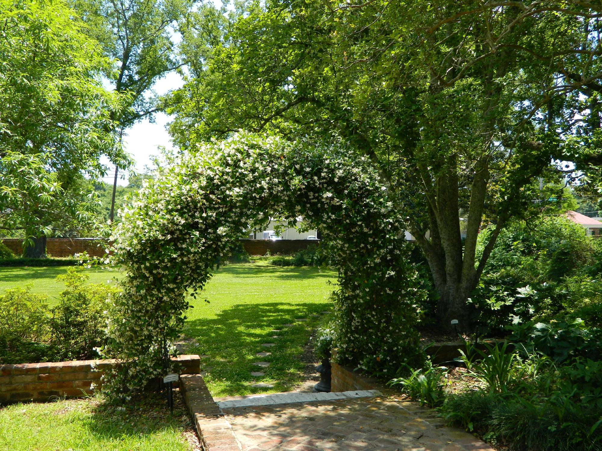 Photo by Travel_Texans