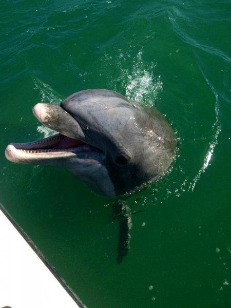 Boca Grande Fly Fishing Charters