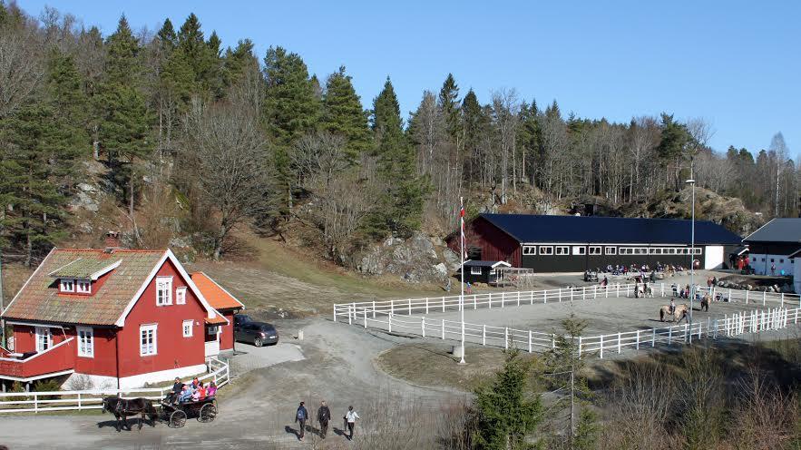 Damgarden Riding Centre